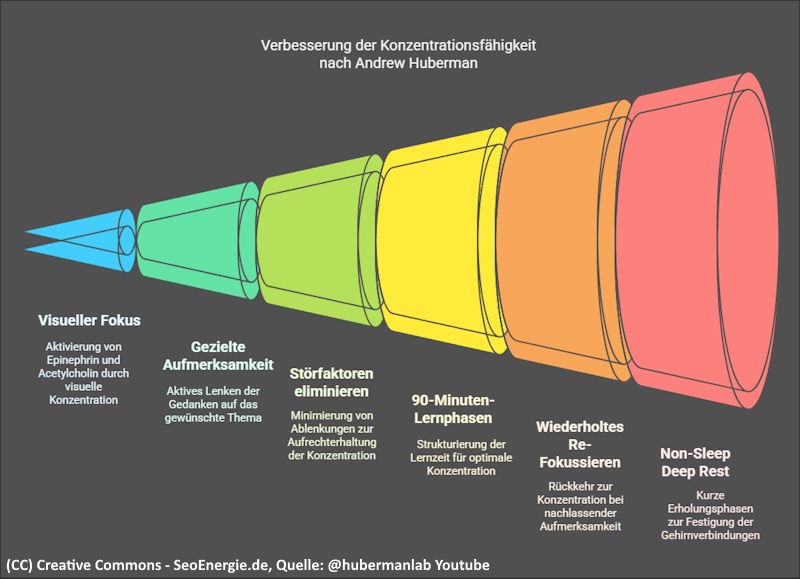 Verbesserung der Konzentrationsfaehigkeit nach Andrew Huberman Infogafik